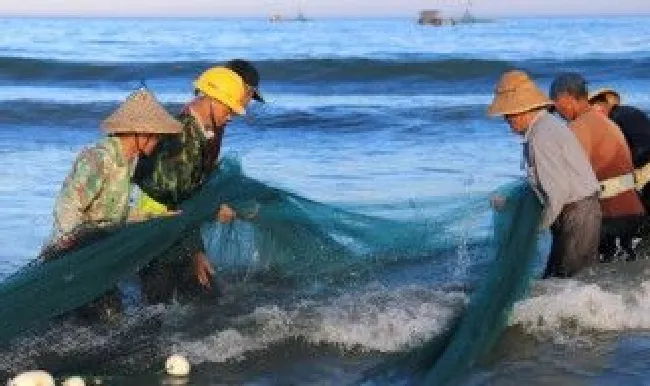 自来水养鱼的4个小妙招（自来水养鱼最佳方法）