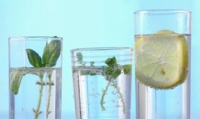 矿泉水保质期 矿泉水保质期24个月正常吗?