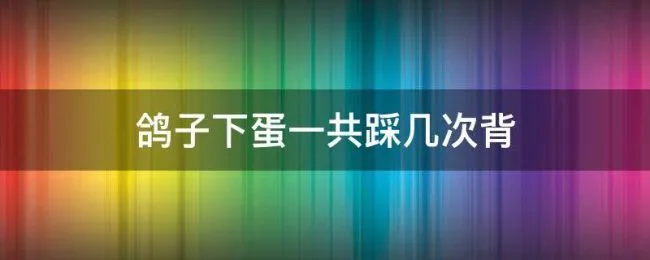 鸽子下蛋一共踩几次背 鸽子要踩背几次才能生蛋