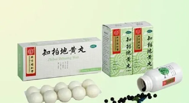 八味地黄丸 八味地黄丸料 日本 中文说明