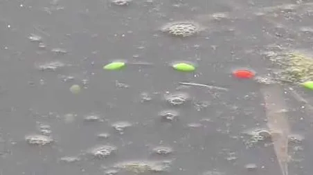 七星漂钓鱼什么时候提竿 七星漂钓鲫鱼什么时候提竿