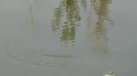 八月钓鱼什么时间段好（八月份钓鱼什么时间最佳）