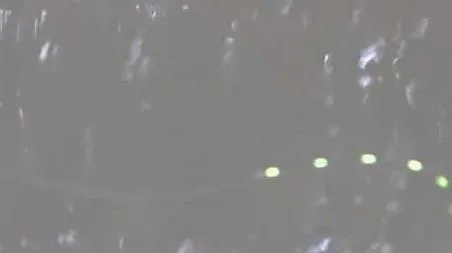 七星漂钓鱼什么时候提竿 七星漂钓鲫鱼什么时候提竿