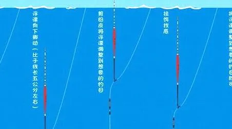 鱼漂的调法图解及漂相大全（鱼漂的正确调法图解）