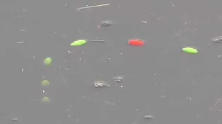 七星漂钓鱼技巧和方法 七星漂的钓法